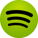 Spotify-Icon 2013