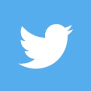Twitter-Icon 2012